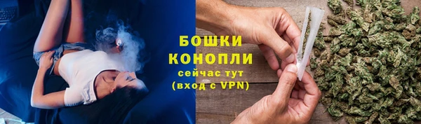 гидра Тайга