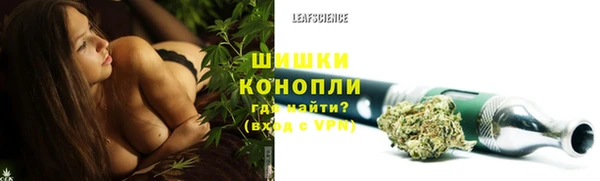 гидра Покровск
