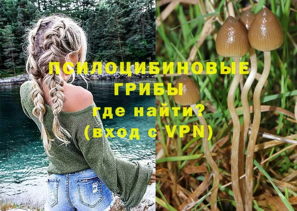 герыч Пестово
