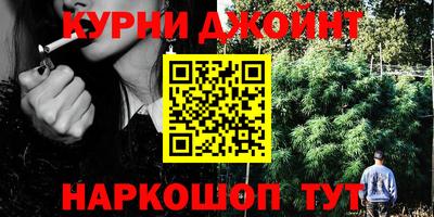 прущие грибы Волжск