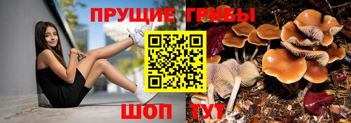 Галлюциногенные грибы мицелий Ярцево