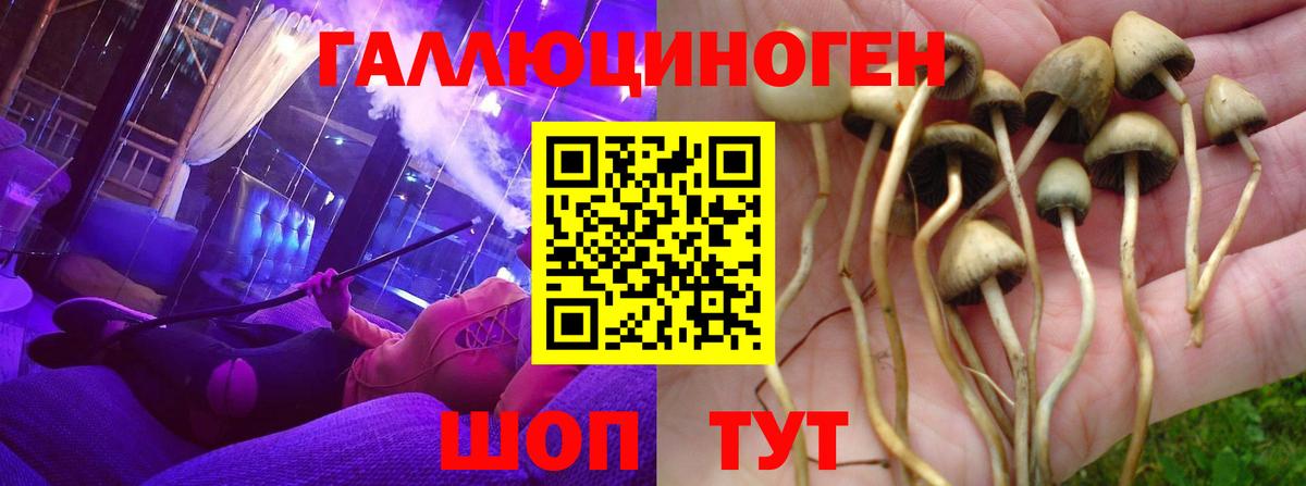 что такое   Вход с VPN  Ярцево  Галлюциногенные грибы Psilocybine cubensis  Псилоцибиновые грибы мицелий 